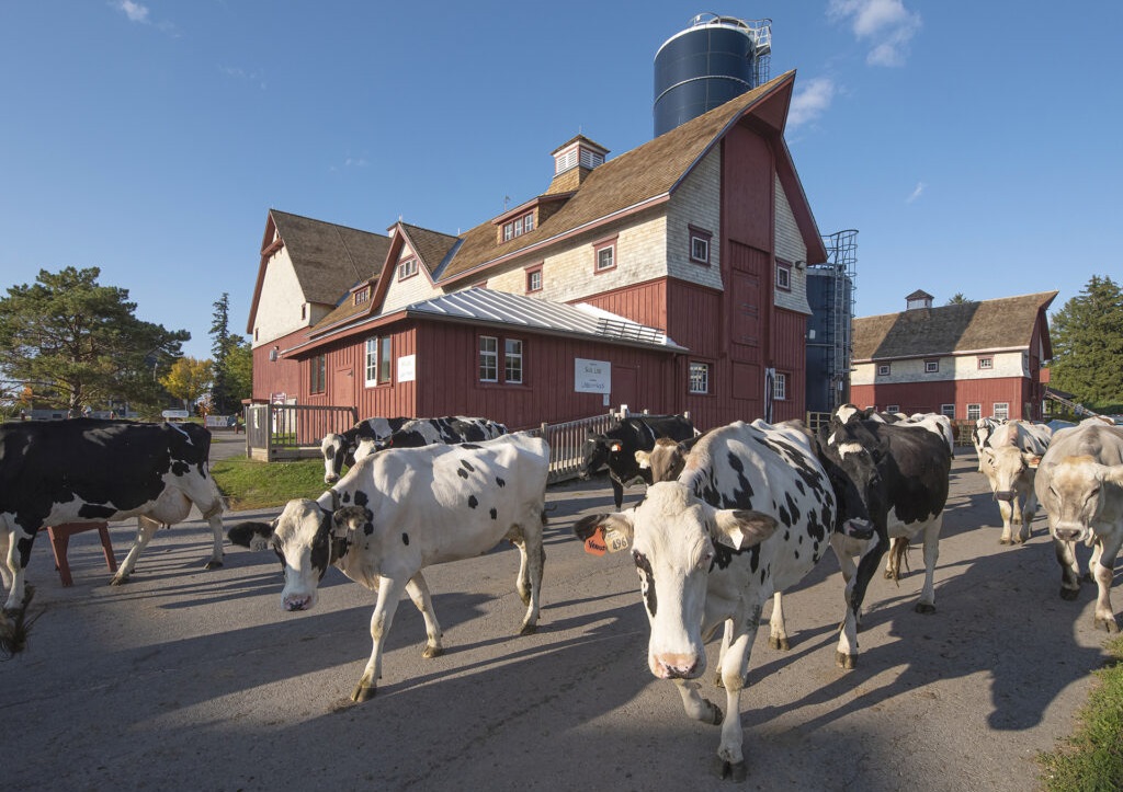 Canada Agriculture and Food Museum - Working Farm