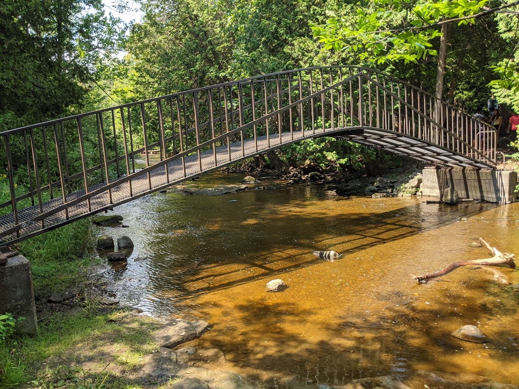 Arran Tara Fall Fair Foot Bridge