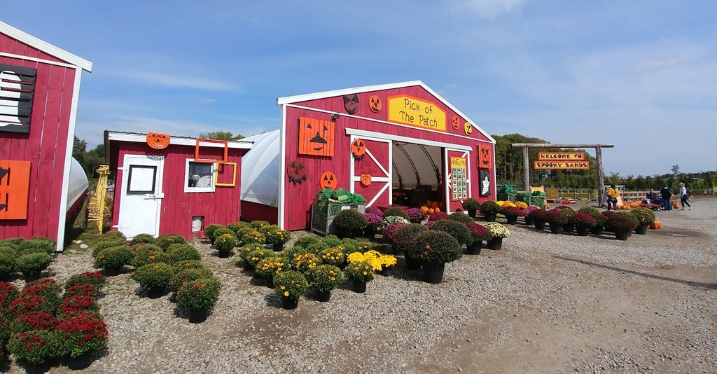 You Pick in St. Agatha