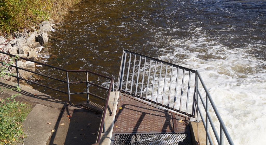 Owen Sound Fish Ladder