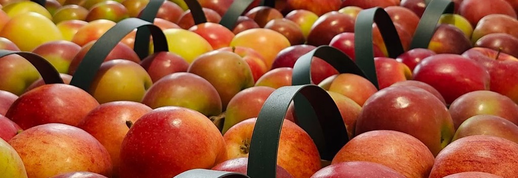 Elora Farmers' Market