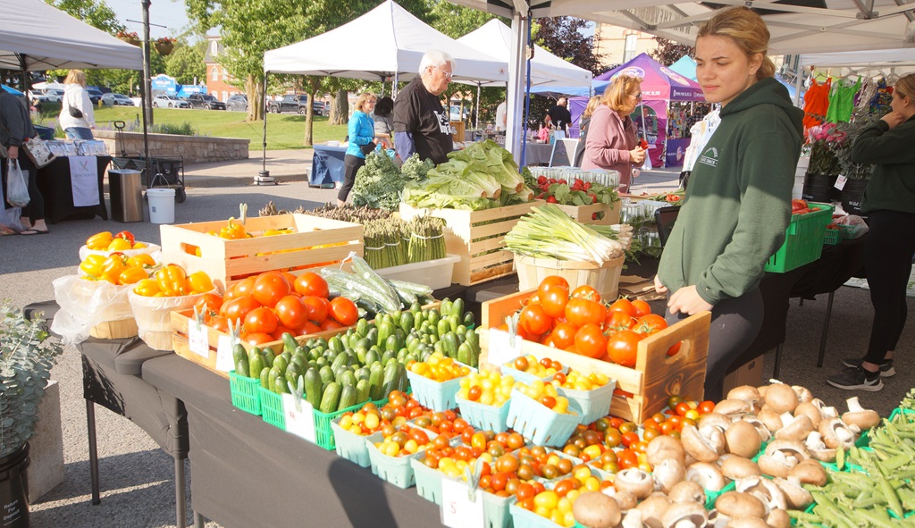 Port Perry Farmers' Market - Vegetable Vendor