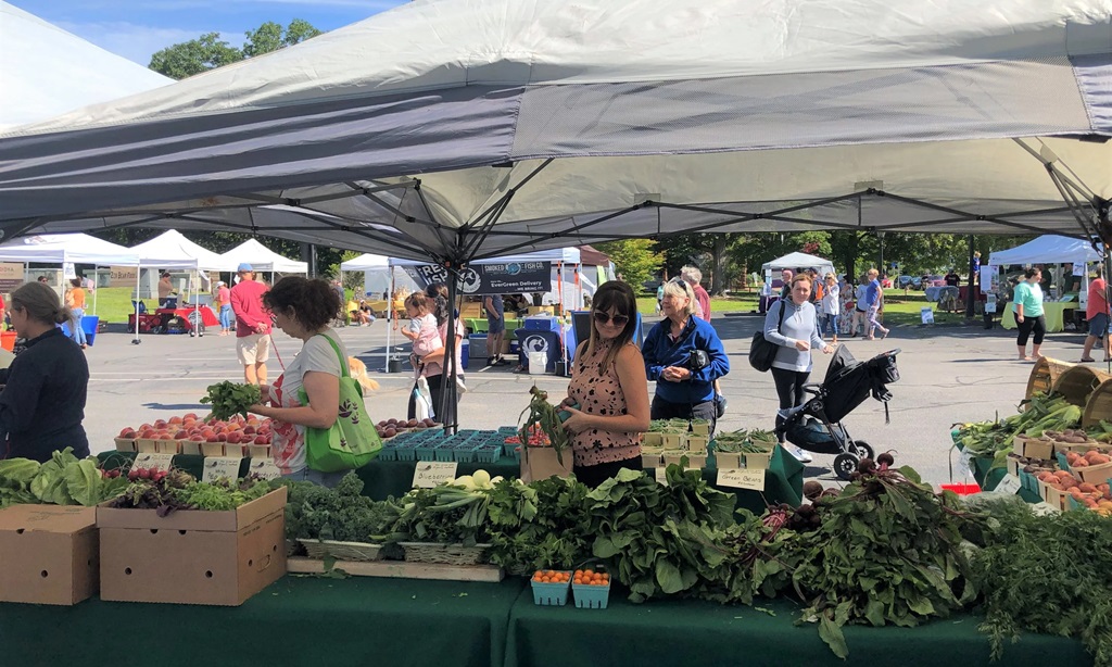 Vegetables - Elora Famers' Market