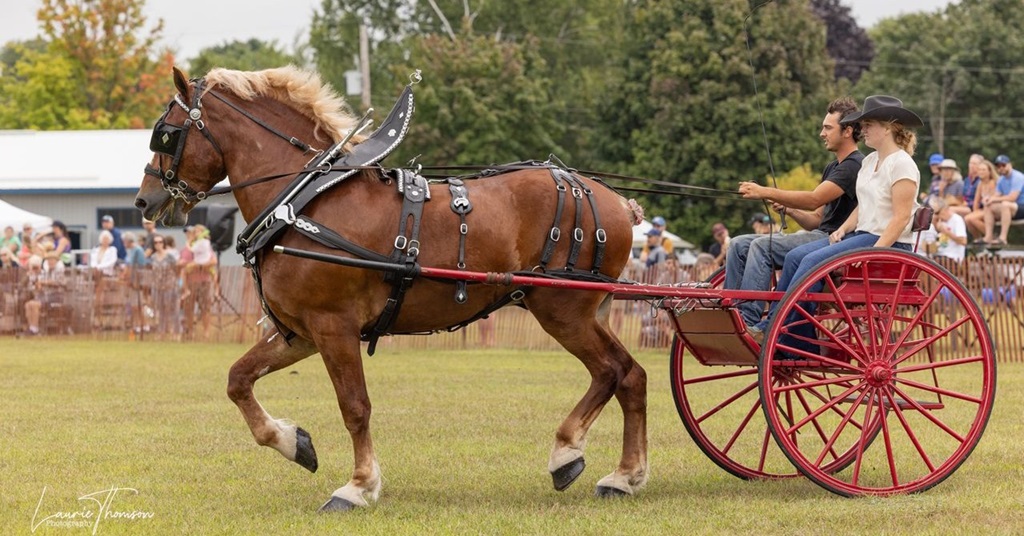 Bayfield Fair - Horse and Cart