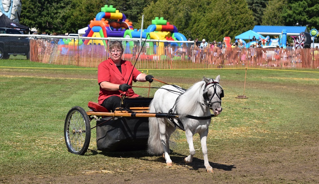 Arran Tara Fall Fair - Horse and Carriage