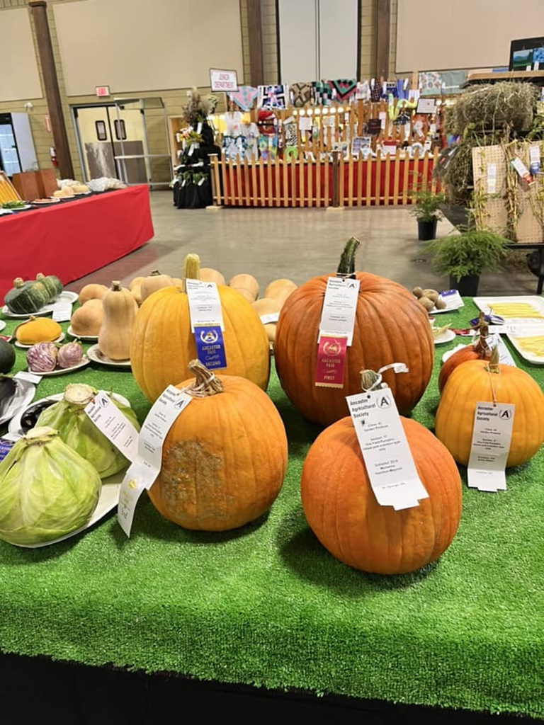 Ancaster Fair - Pumpkin Display