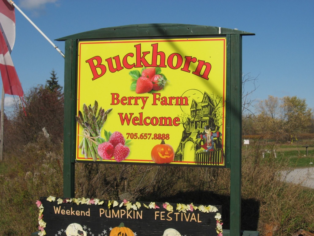 McLean Berry Farm Sign