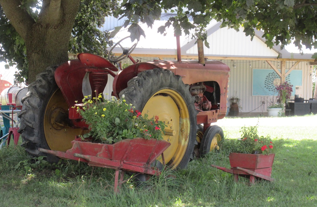 Udderly Ridiculous Farm Life Tractor Display 