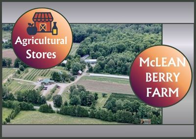 McLean Berry Farm – Buckhorn
