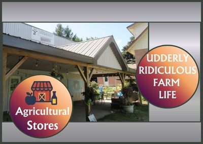 Udderly Ridiculous Farm Life – Bright