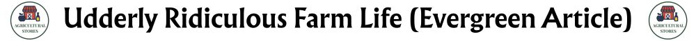 Udderly Ridiculous Farm Life - Bright
