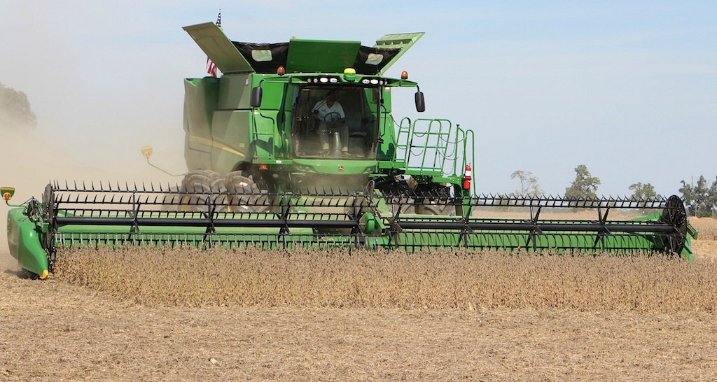 Field Crop Farming (Oilseed Farming - Soybeans, Canola) - Types of Farming Guide