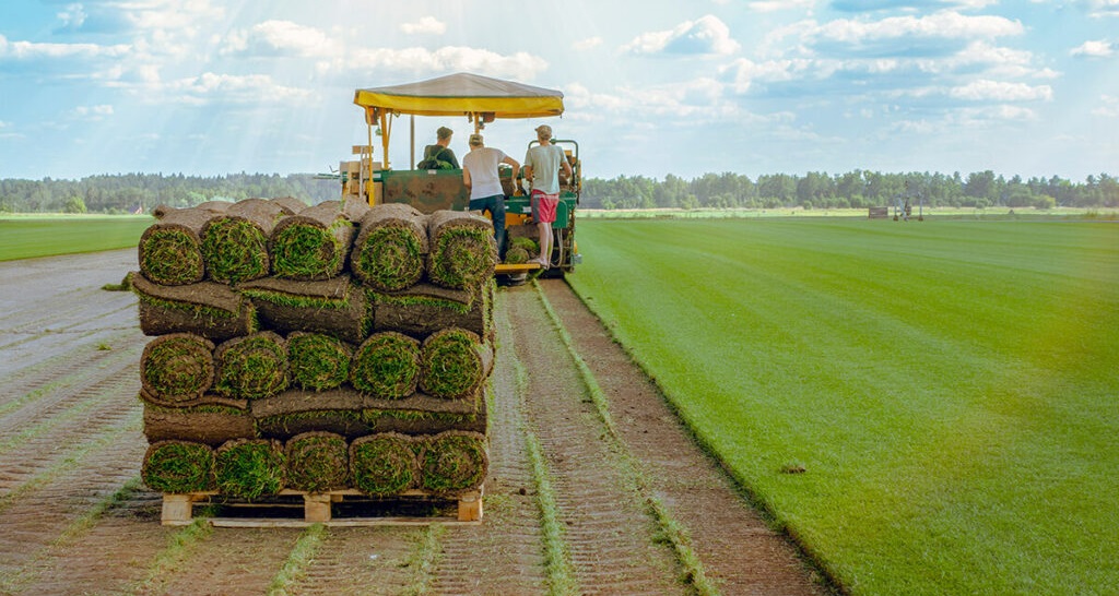 Other Agricultural and Rural Activities (Sod and Turfgrass Farms)