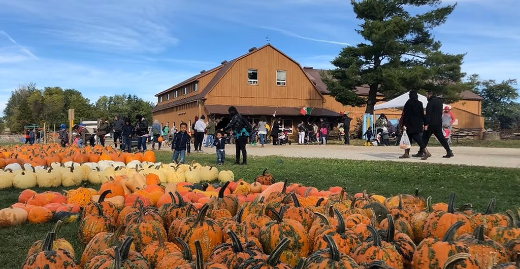 Our Store - Andrews Farm