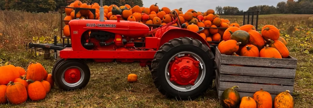 Pumpkin Time - Brooks Farm