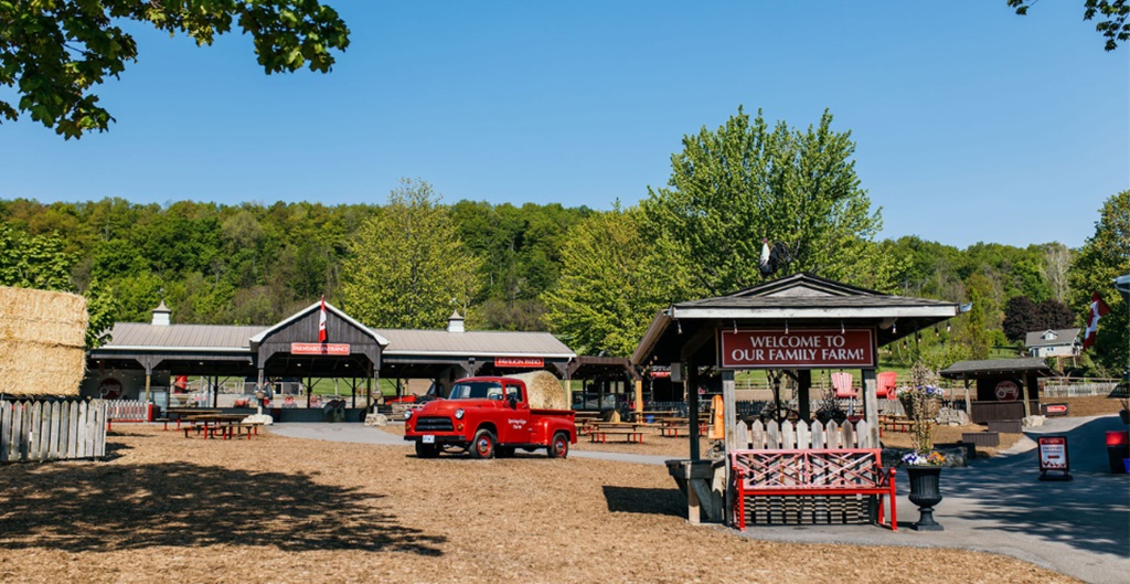 Barnyard - Springridge Farm