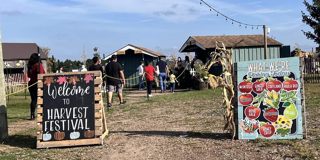 Enjoy the Festival - Pringle's Harvest Festival