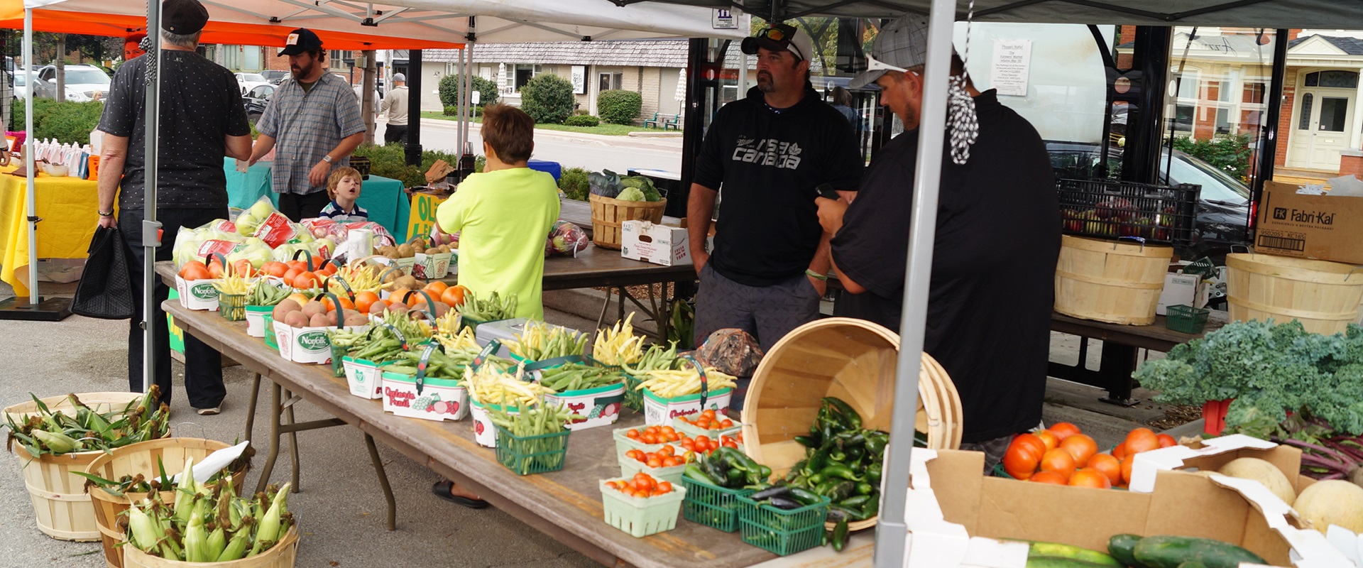 Agritourism Field Notes