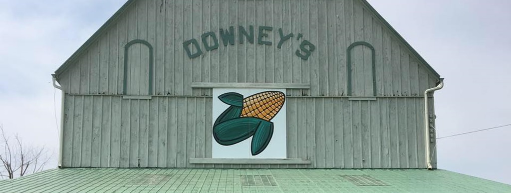 Downey's Farm Corn Maze
