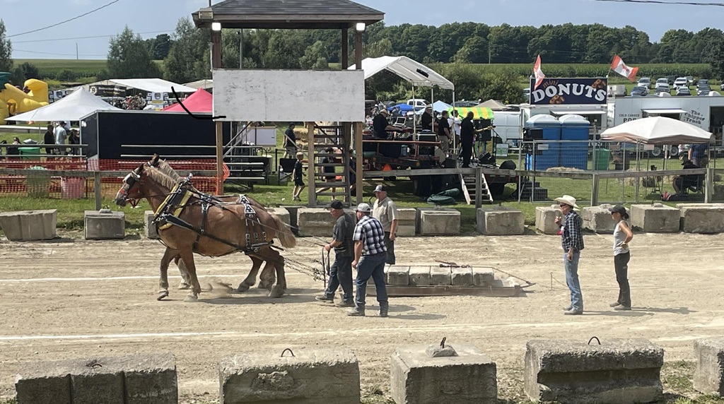 Horse Pull - Blackstock Fair