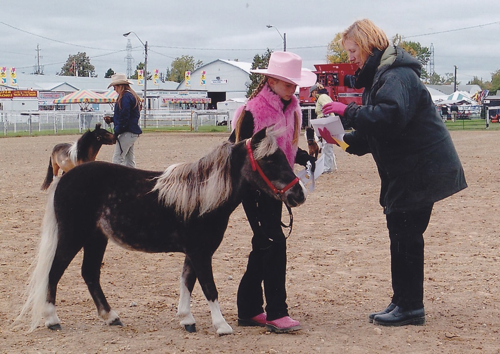 Pony Judging - Brigden Fair