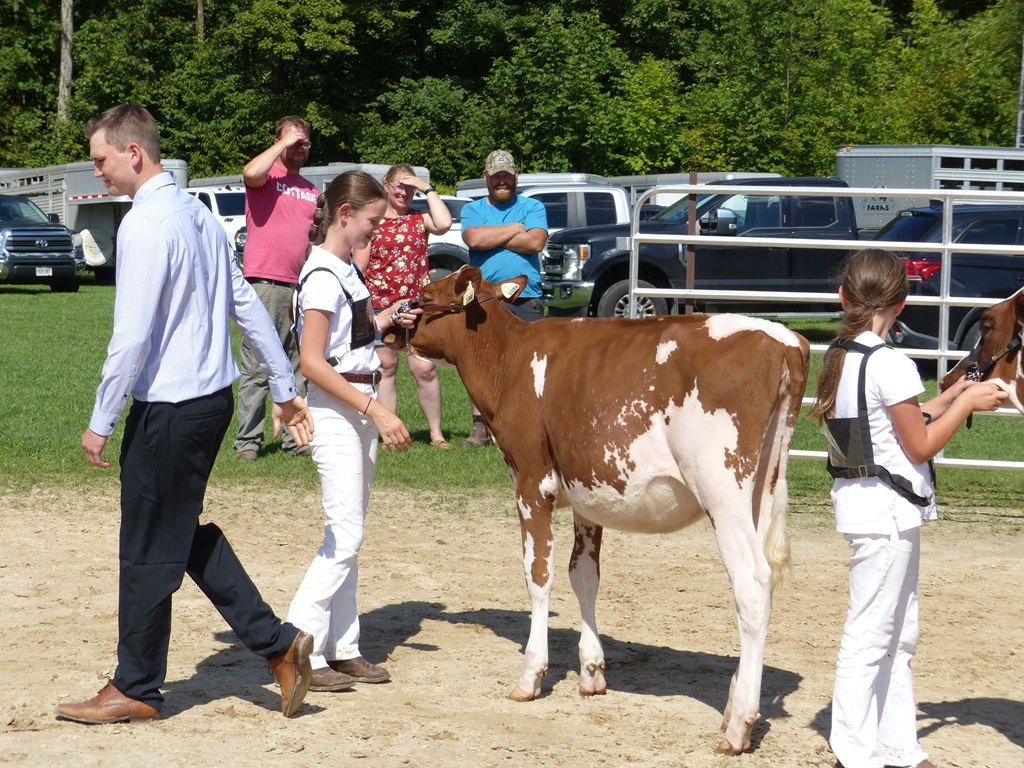 4 - H Judging - Desboro Fall Fair