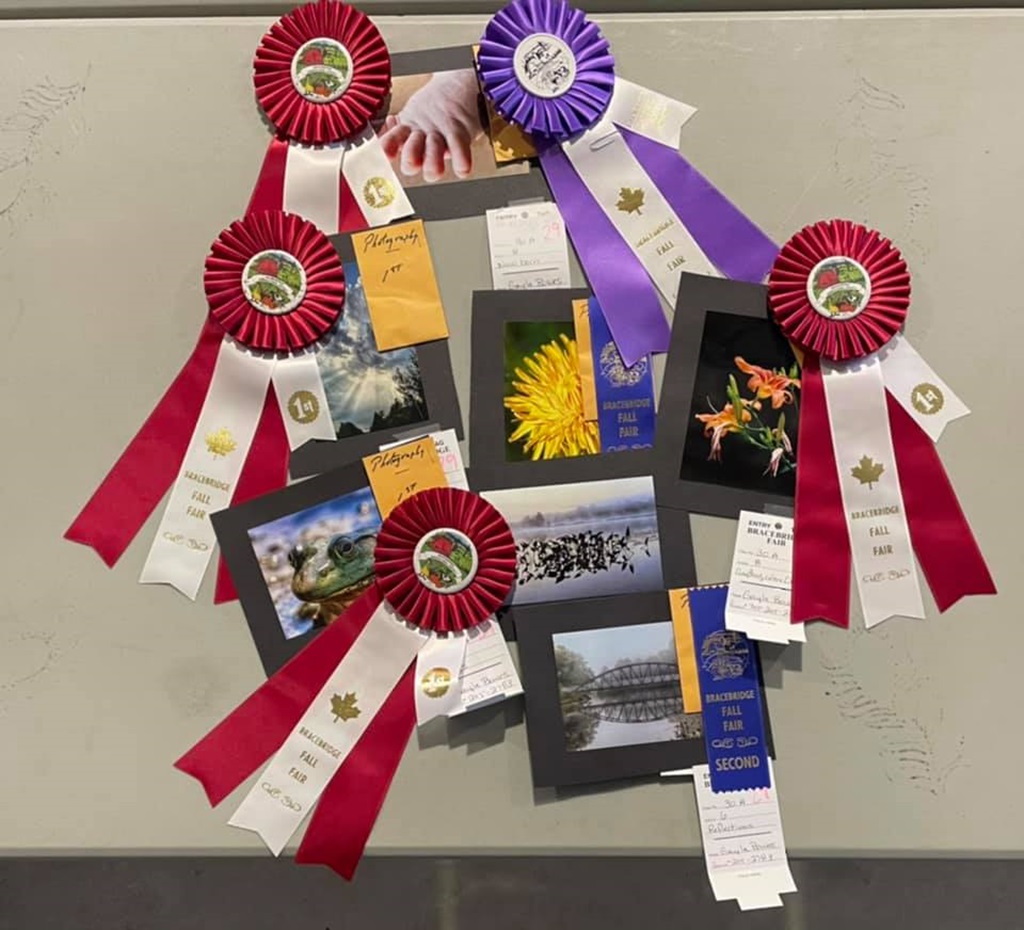 And the winners are! - Bracebridge Fall Fair
