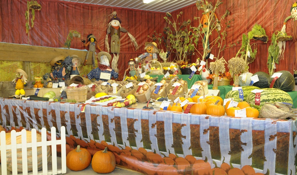Harvest Display - Brigden Fair