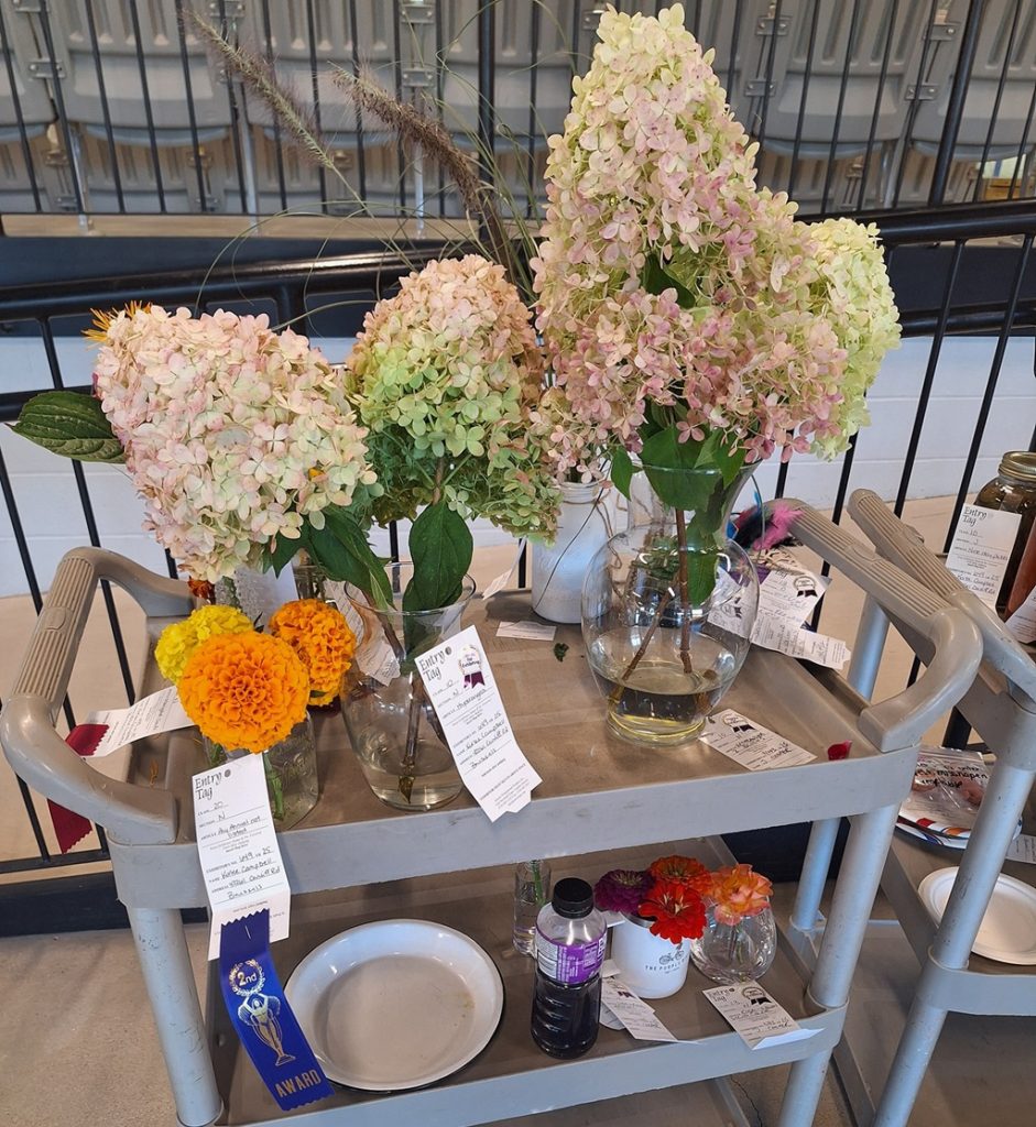 Floral Display - Brussels Fall Fair