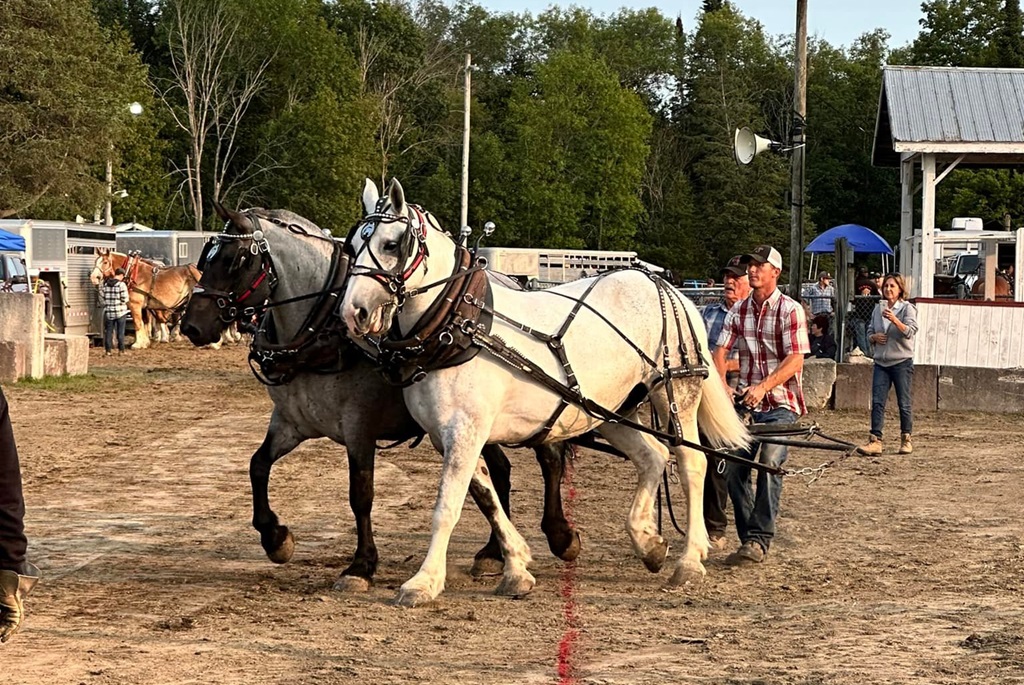 Horse Pull - Coe Hill Fair