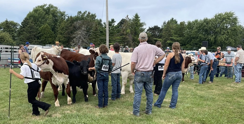 Beef Judging - Blackstock Fair