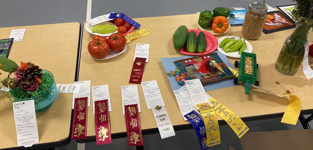 Homecraft Wiiners  - Comber Fair