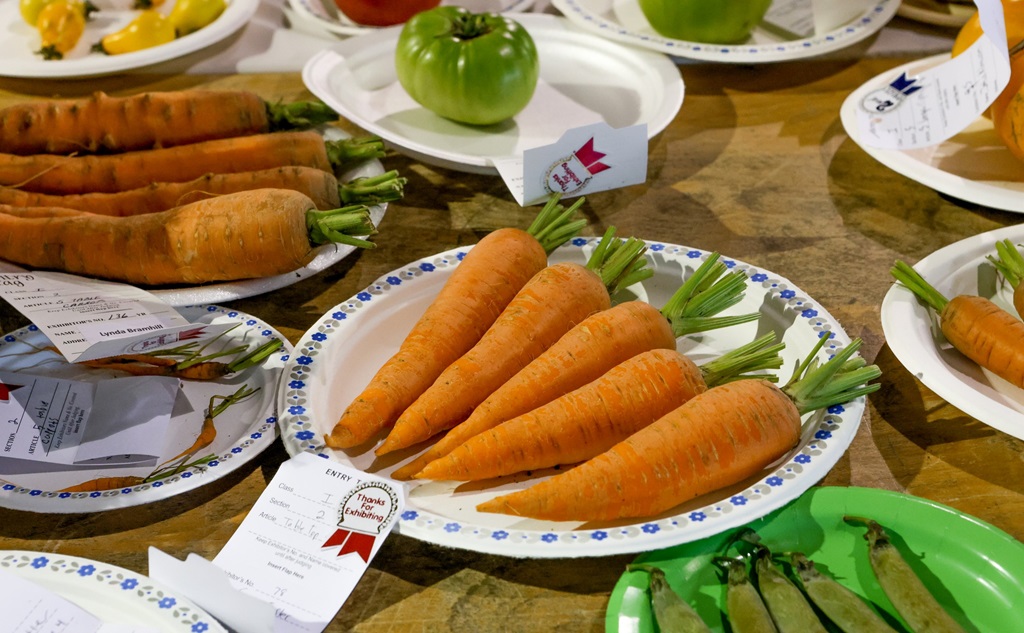 Vegetable Display - Drayton Fair