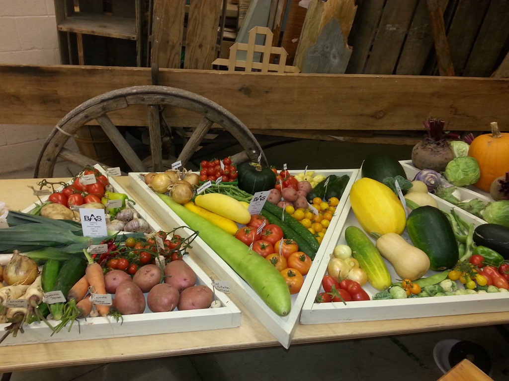 Harvest Table - Binbrook Fall Fair