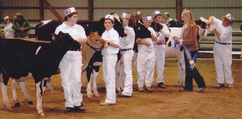 4-H Cattle Show