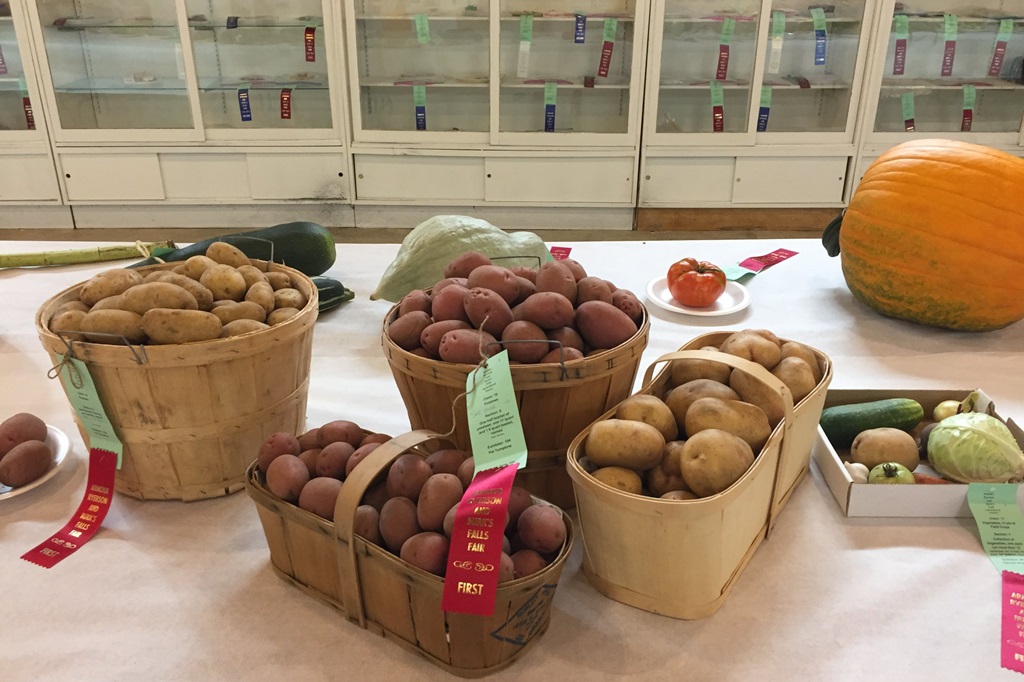 Produce Display - Burk's Falls Fall Fair
