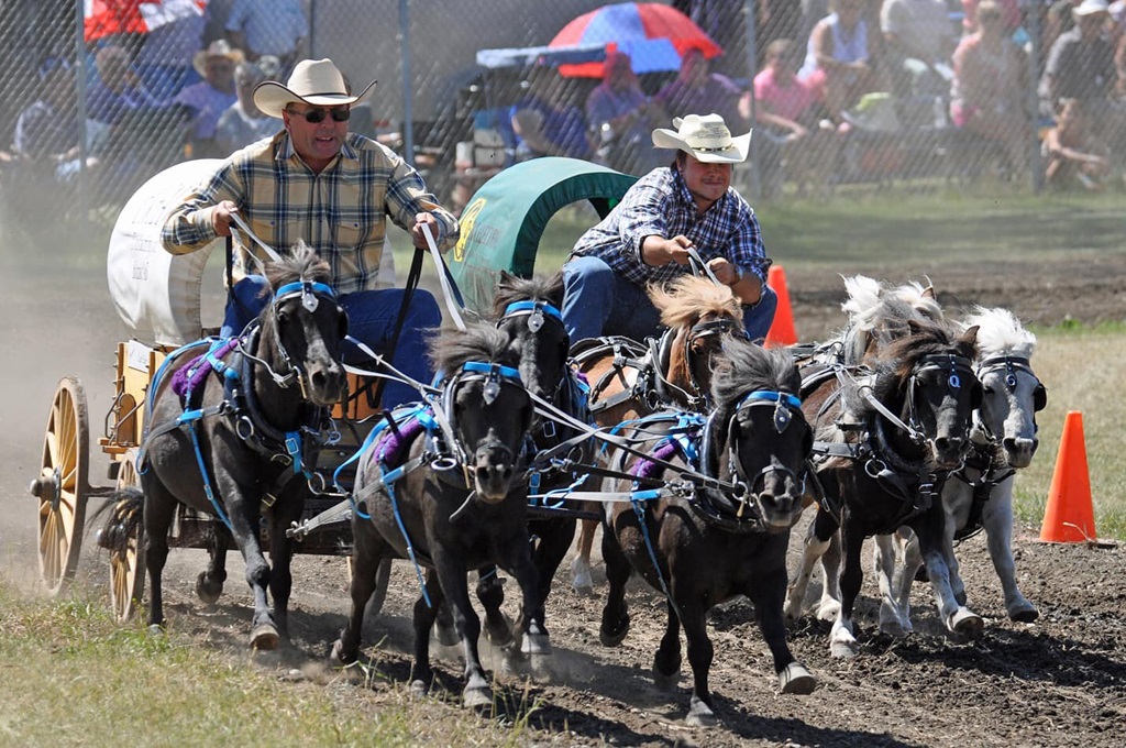 Mini Chuckwagon Race - Cochrane Fall Fair