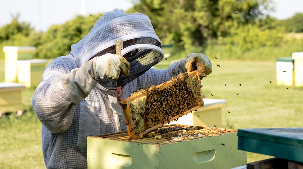 Bee Keeper - Hawksview Honey