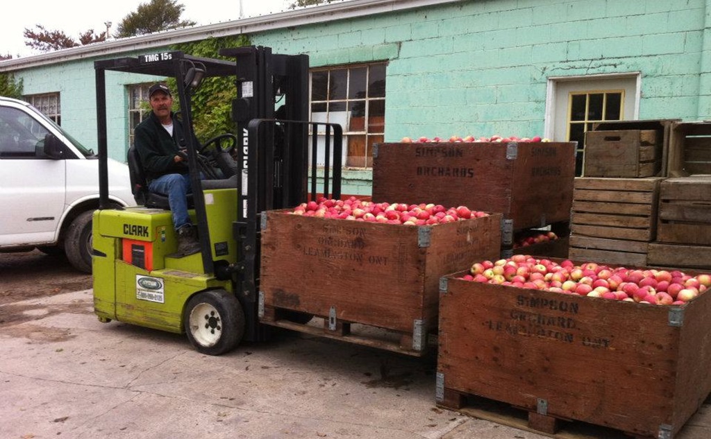 Lots of Apples - Simpson Orchards