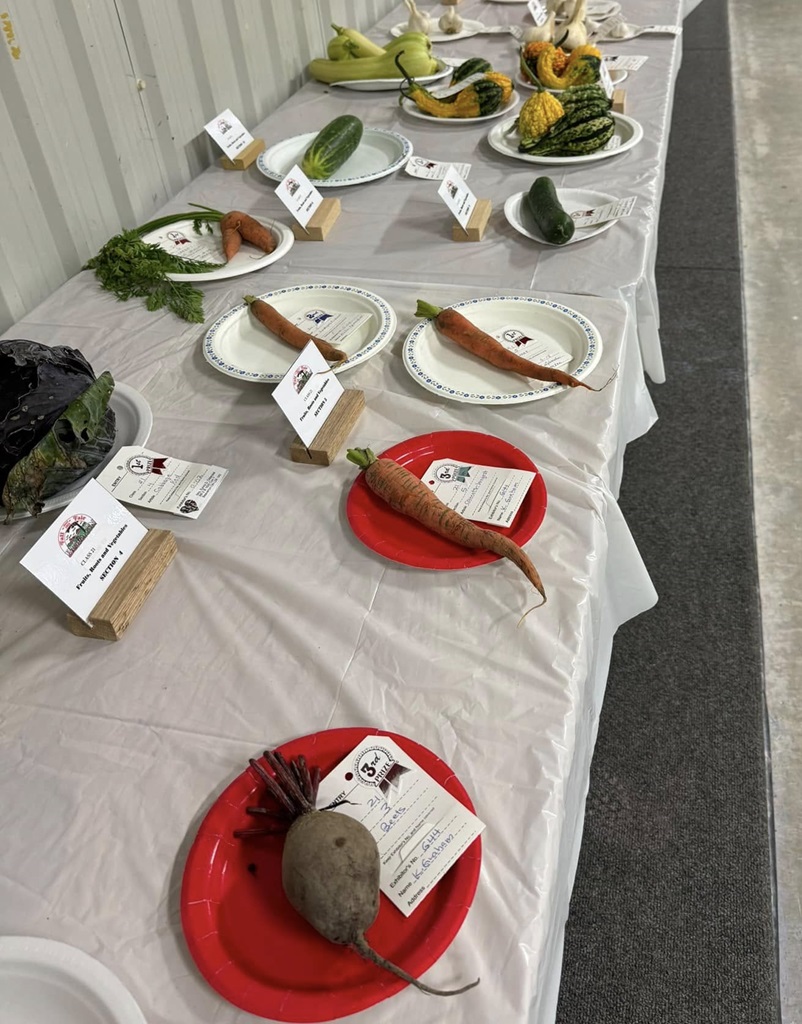 Homecrafts - Beaverton Fall Fair