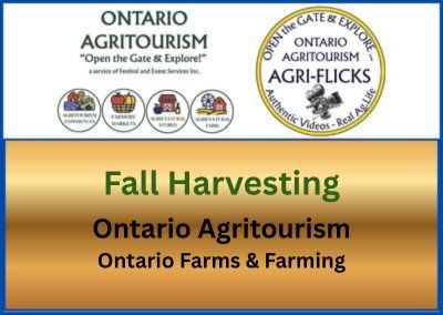 An Agri-Flicks Fall Harvesting Video