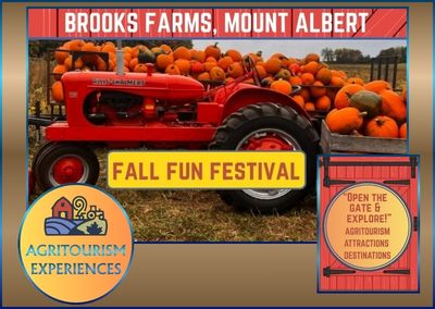 Brooks Farm – Mount Albert
