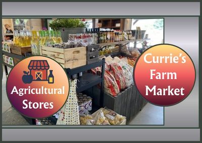 Currie’s Farm Market – Collingwood