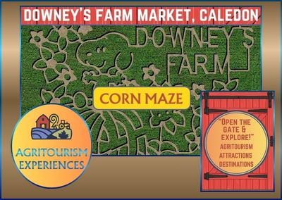 Downey’s Farm – Caledon