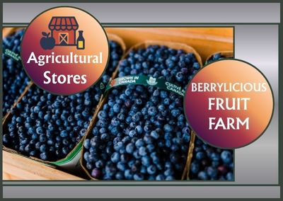 Berrylicious Fruit Farm – Norwich