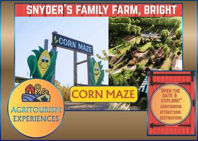 Snyder’s Family Farm – Bright