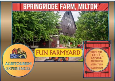 Springridge Farm – Milton
