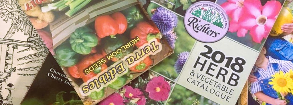 Perth Farmers' Market