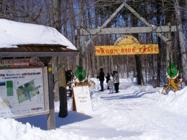 Maple Sugar Bush