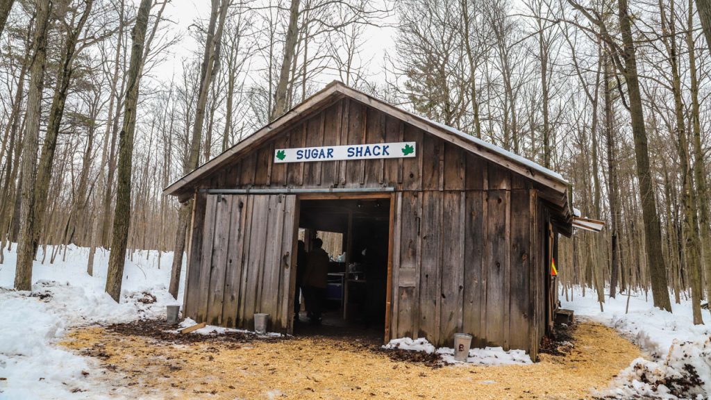Maple Syrup Festival